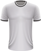 Swansea City