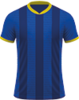 Hellas Verona