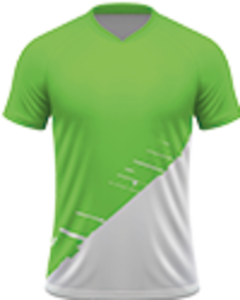 Voetbalreizen VfL Wolfsburg