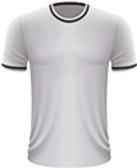 Voetbalreizen Swansea City