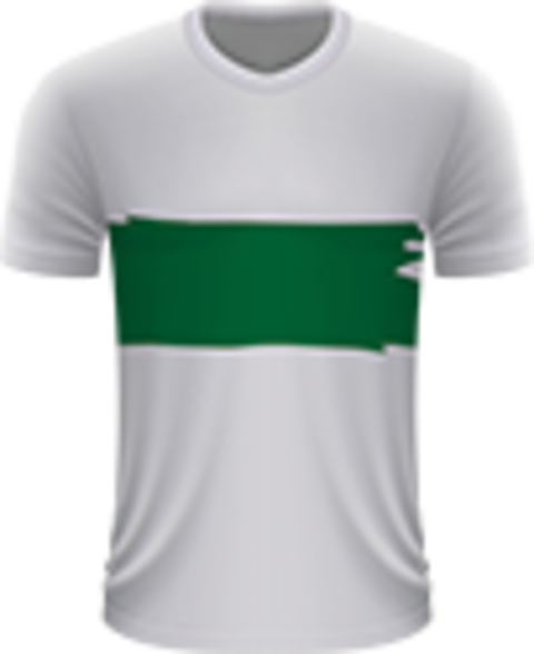 Voetbalreizen Elche CF