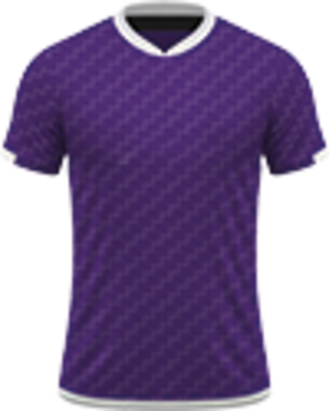 Voetbalreizen Fiorentina