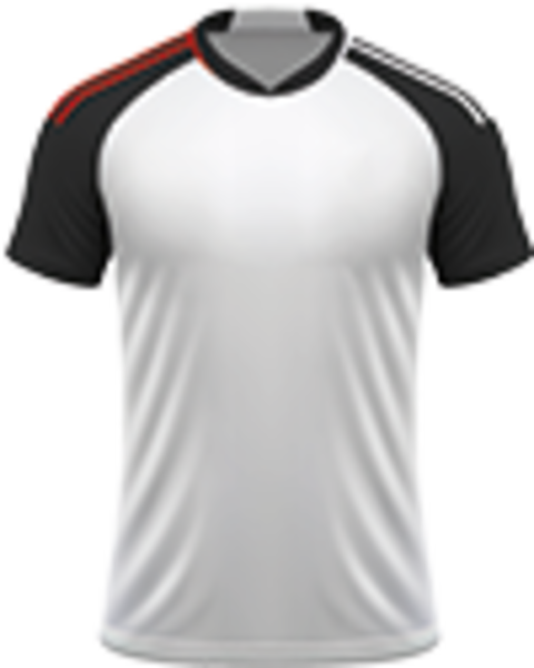Voetbalreizen Fulham