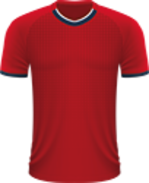 Voetbalreizen Lille OSC