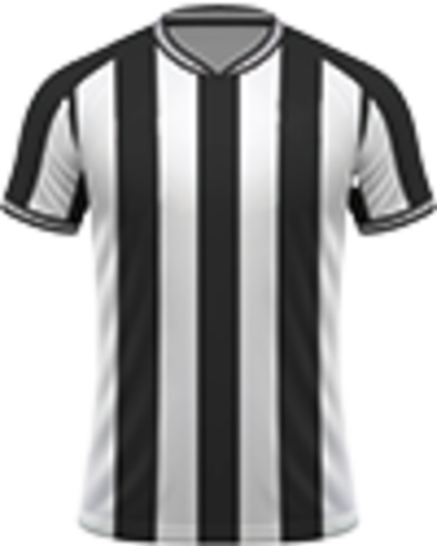 Voetbalreizen Newcastle United