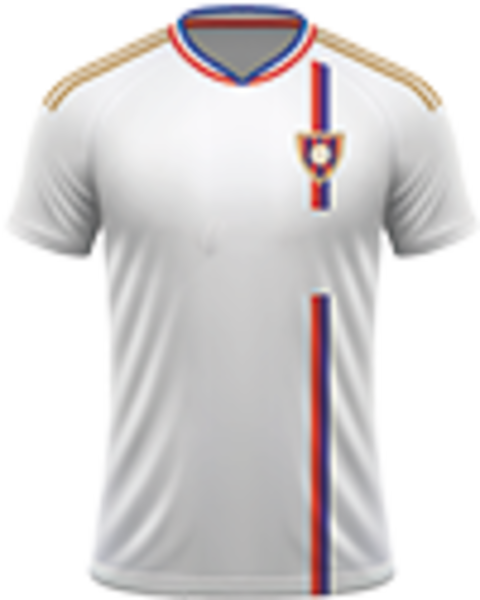 Voetbalreizen Olympique Lyon