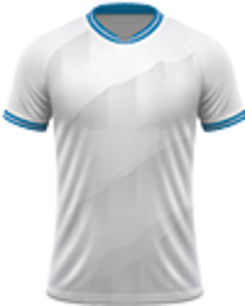 Voetbalreizen Olympique Marseille