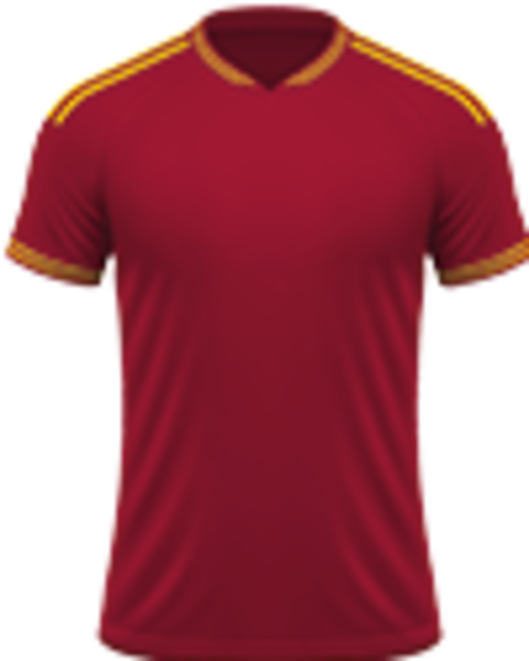 Voetbalreizen AS Roma
