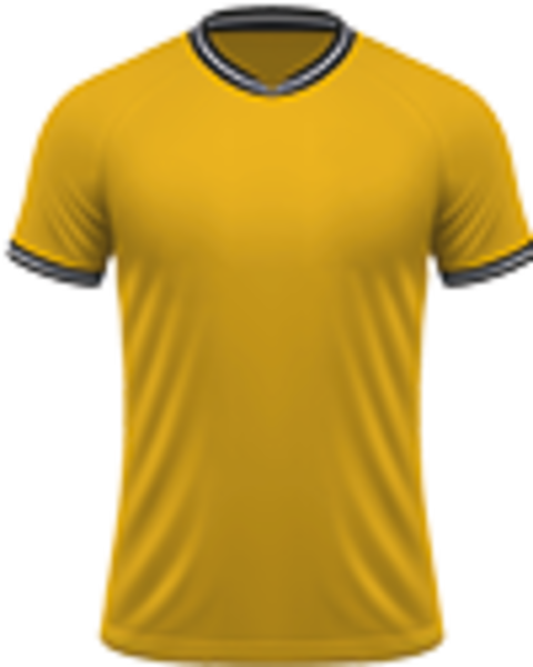 Voetbalreizen Wolverhampton Wanderers