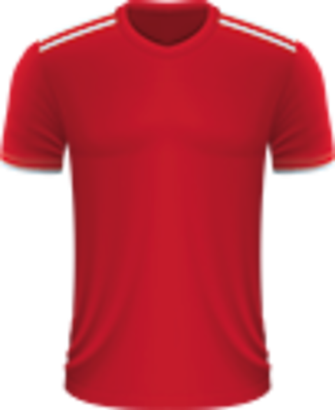 Voetbalreizen Benfica
