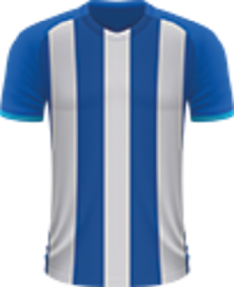 Voetbalreizen FC Porto