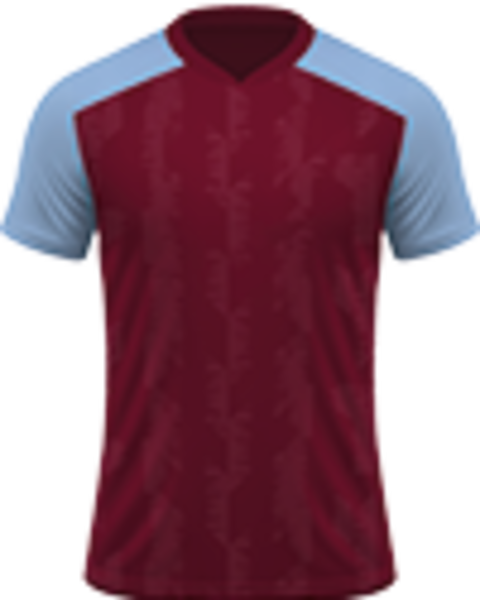 Voetbalreizen Aston Villa