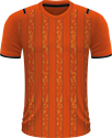 Hull City